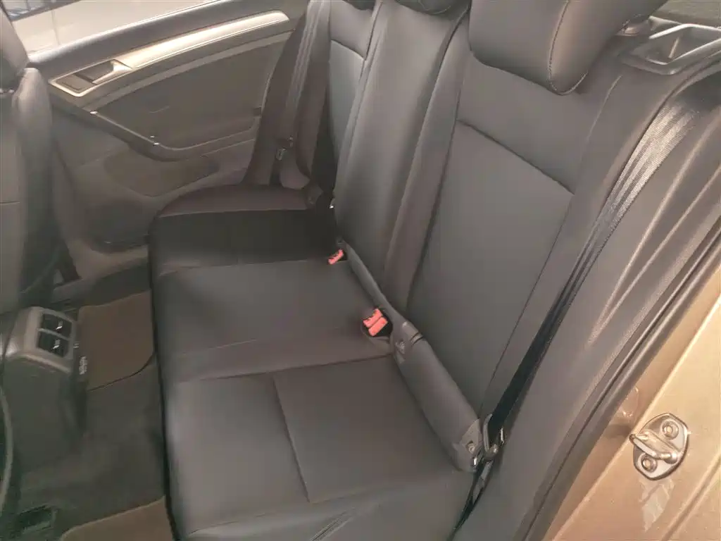 Volkswagen Golf 2019 200TSI DSG Comfort Progressive China VI фото 17