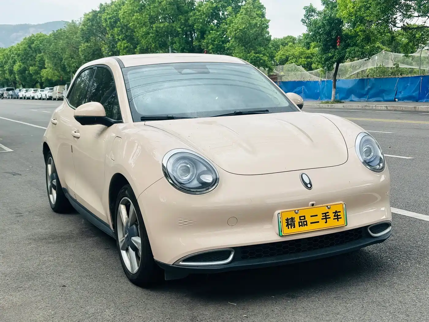 Ora Good Cat 2024 2024 401km Luxury