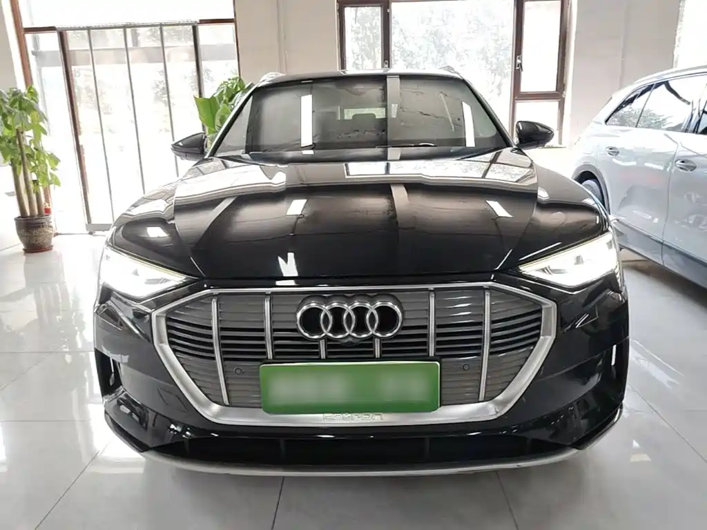 Audi e-tron (Import) 2020 2019 55 quattro Technology