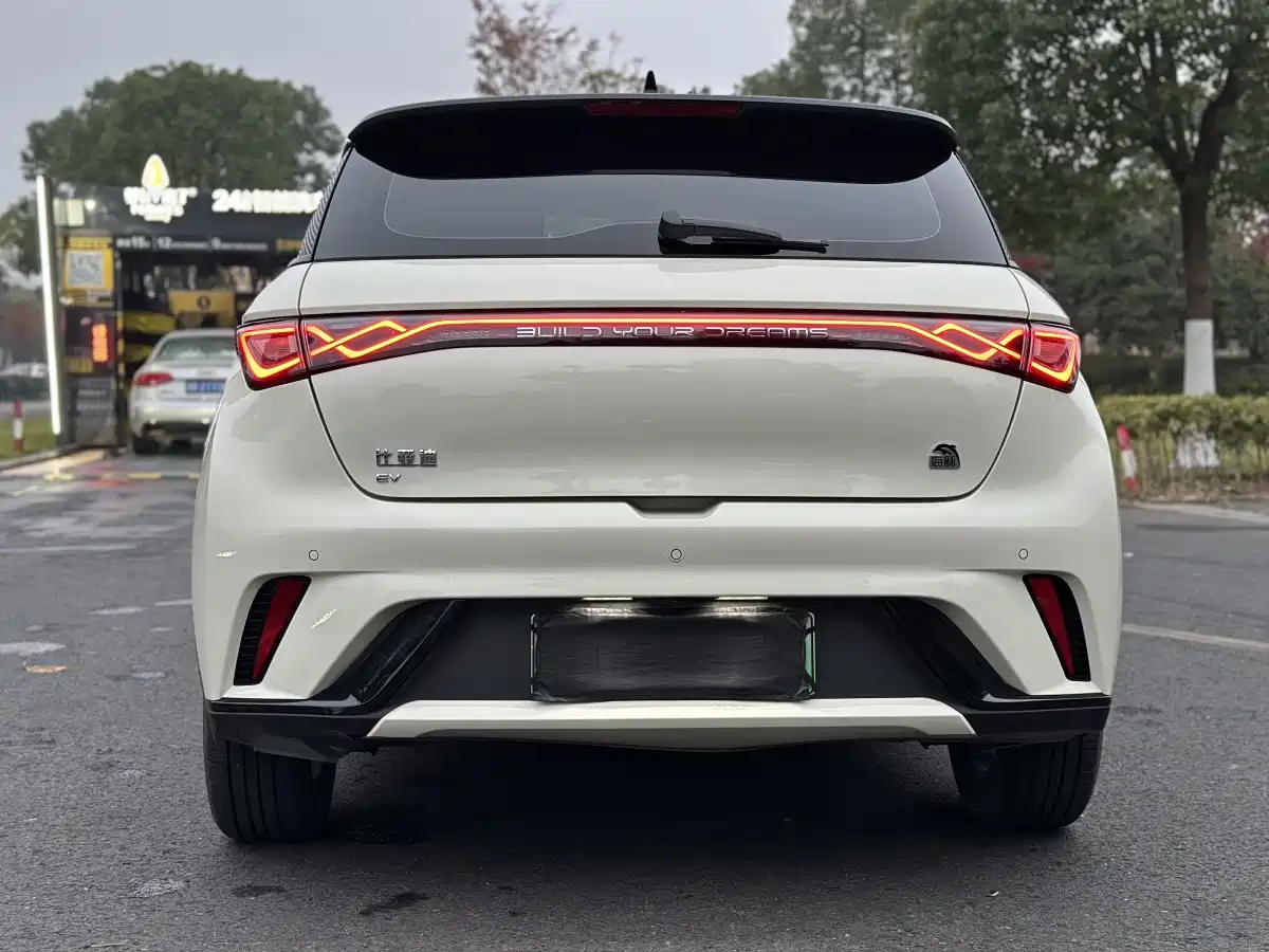 BYD Dolphin 2023 420km Fashion Edition фото 8