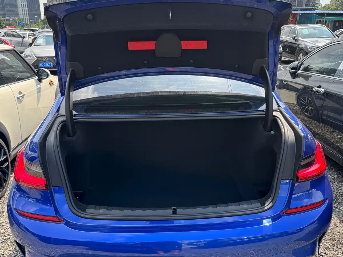 BMW 3 Series 2020 325Li M Sport Package фото 19