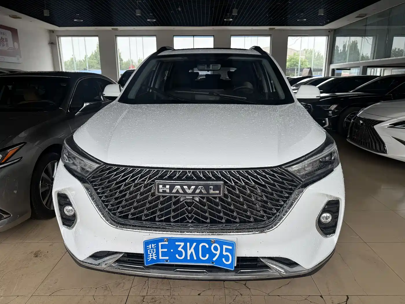 haval m6