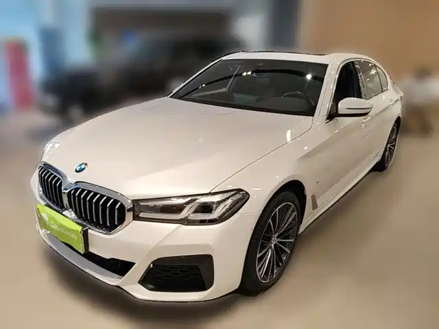 BMW 5 2-й рестайлинг, 530Li, Лидер, M Спорт-пакет