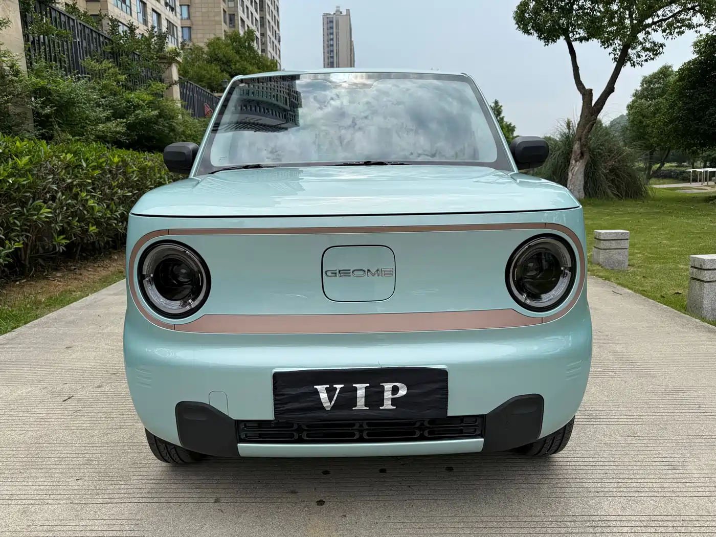 Geely Galaxy Panda 2024 Panda mini 200km Endurance Bear