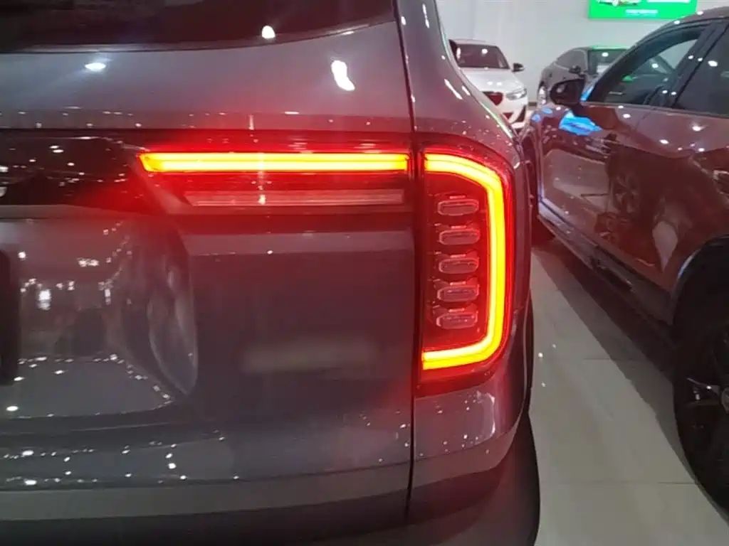 Haval Big Dog 2021 1.5T DCT 2WD Labrador Edition фото 8