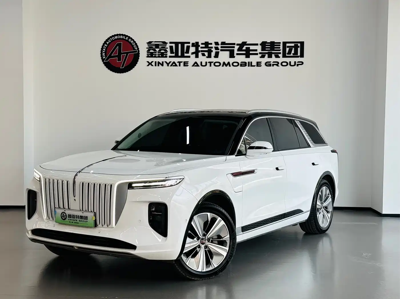 Hongqi HONGQI E HS9