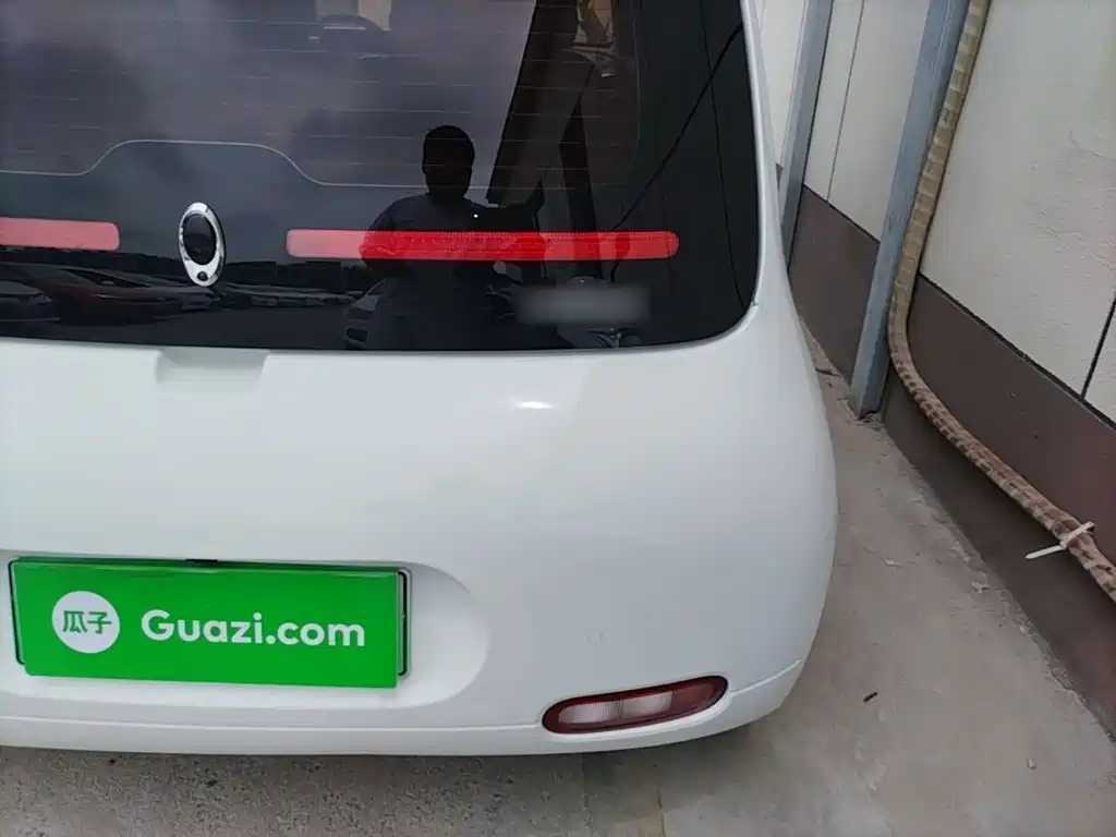 Ora White Cat 2020 2020 360km Luxury Model