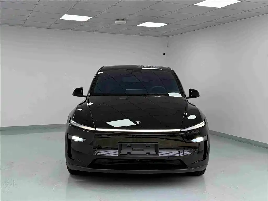 Фото 2 - Tesla Model Y