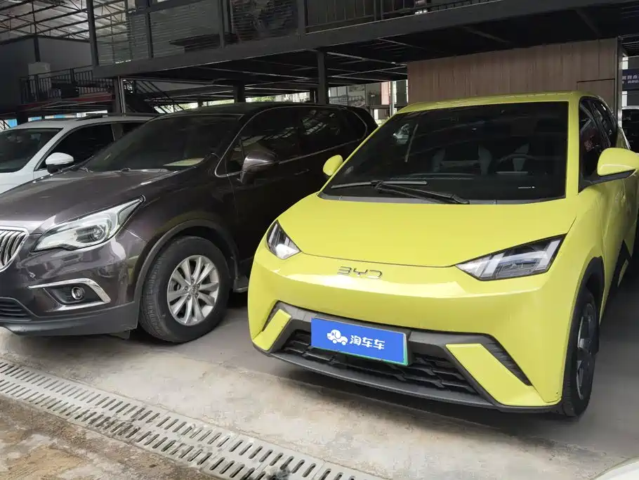 BYD Seagull 2024 Glory Edition 305km Freedom Edition