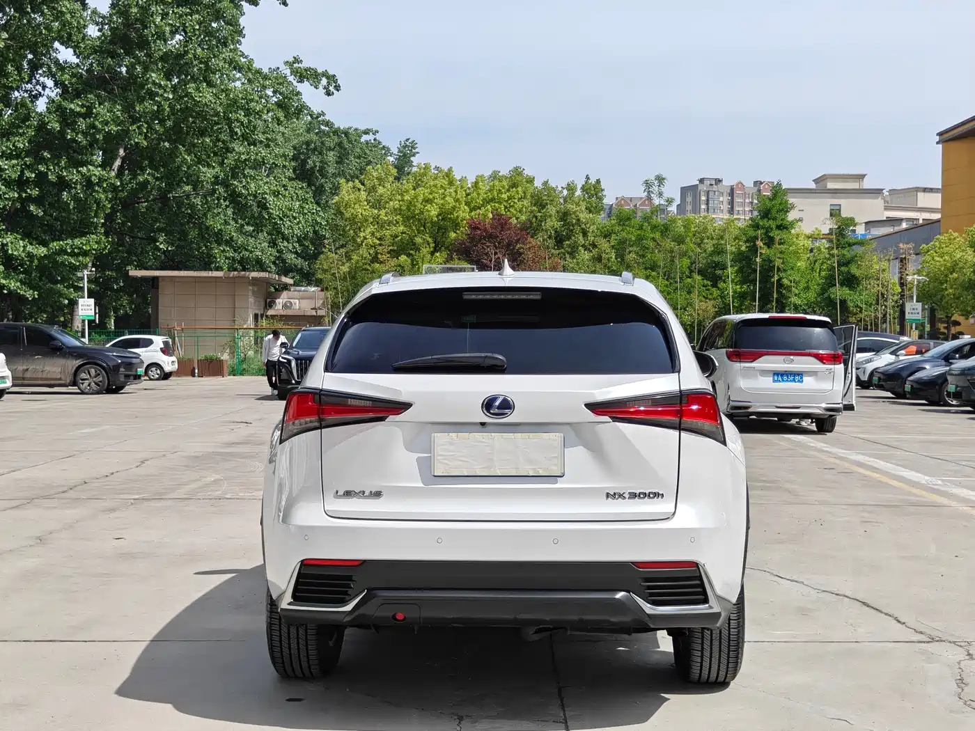 Lexus NX 2020 300h FWD F Sport China V фото 8