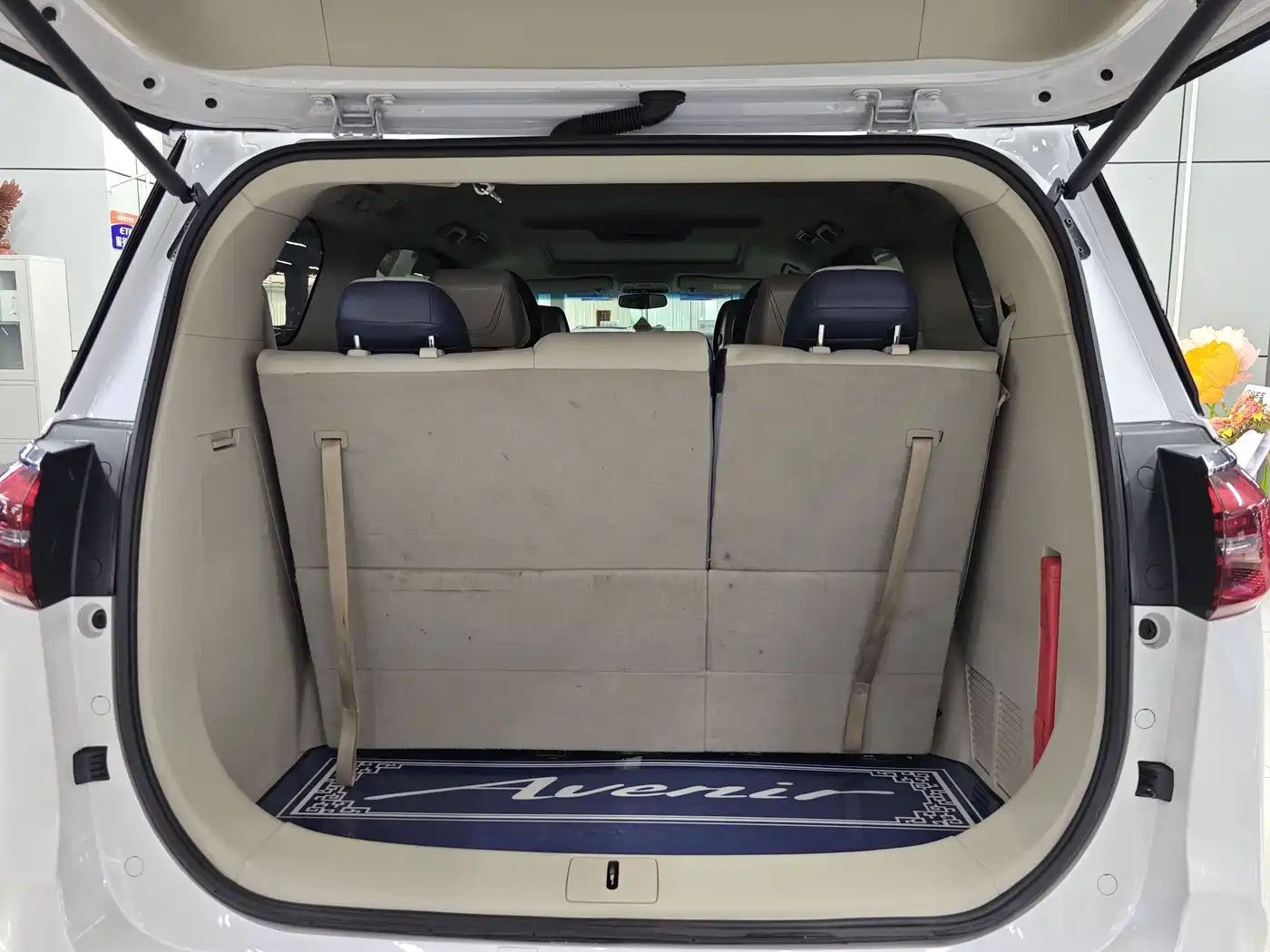 Buick GL8 2021 ES Landlord 653T Comfort фото 16
