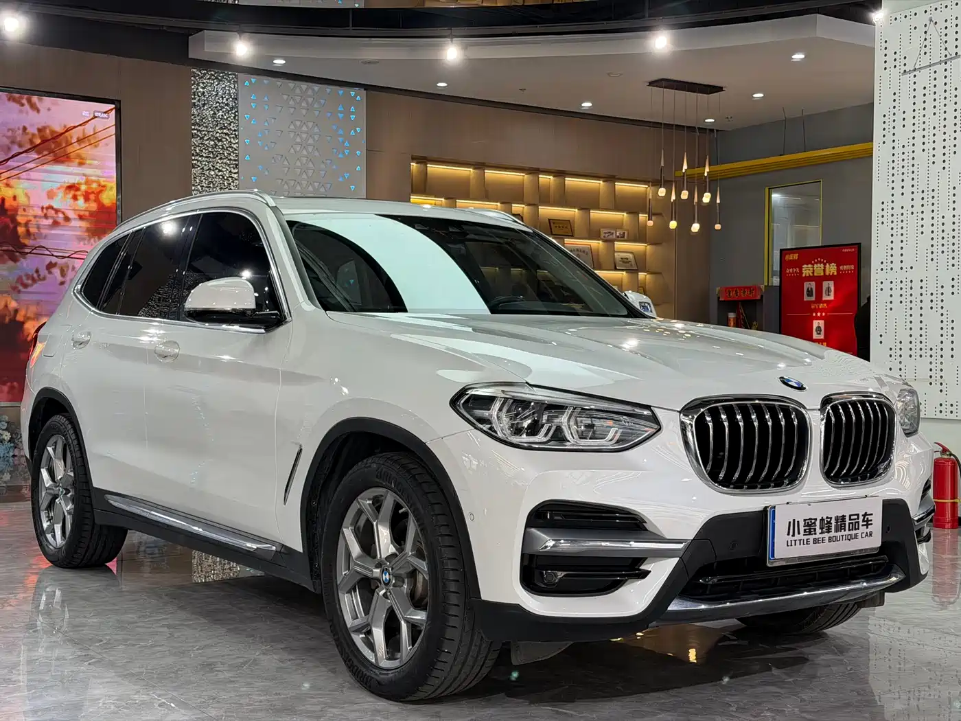 BMW X3 2020 xDrive28i Luxury Package фото 3
