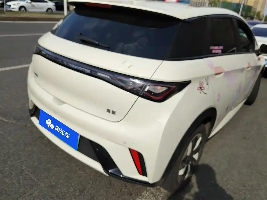 BYD Dolphin 2024 Glory Edition 420km Freedom Edition фото 3