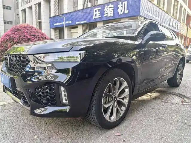 WEI PAI WEI BRAND VV7