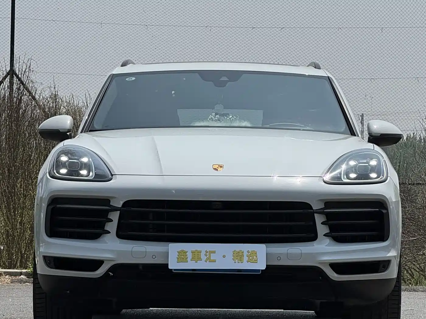 Porsche Cayenne 2023 Cayenne 3.0T Platinum Edition фото 3