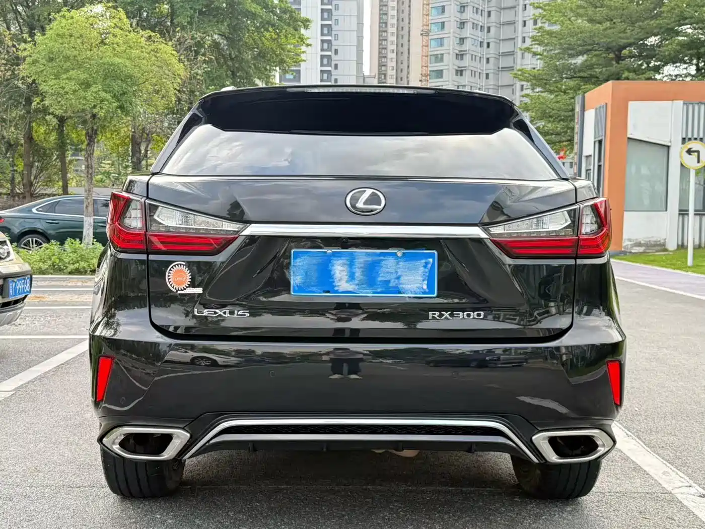 Lexus RX 2016 300 AWD F SPORT Edition China V фото 16