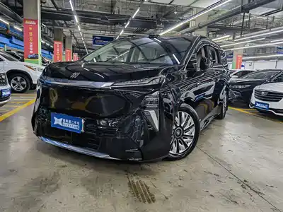 Buick Electra Encasa