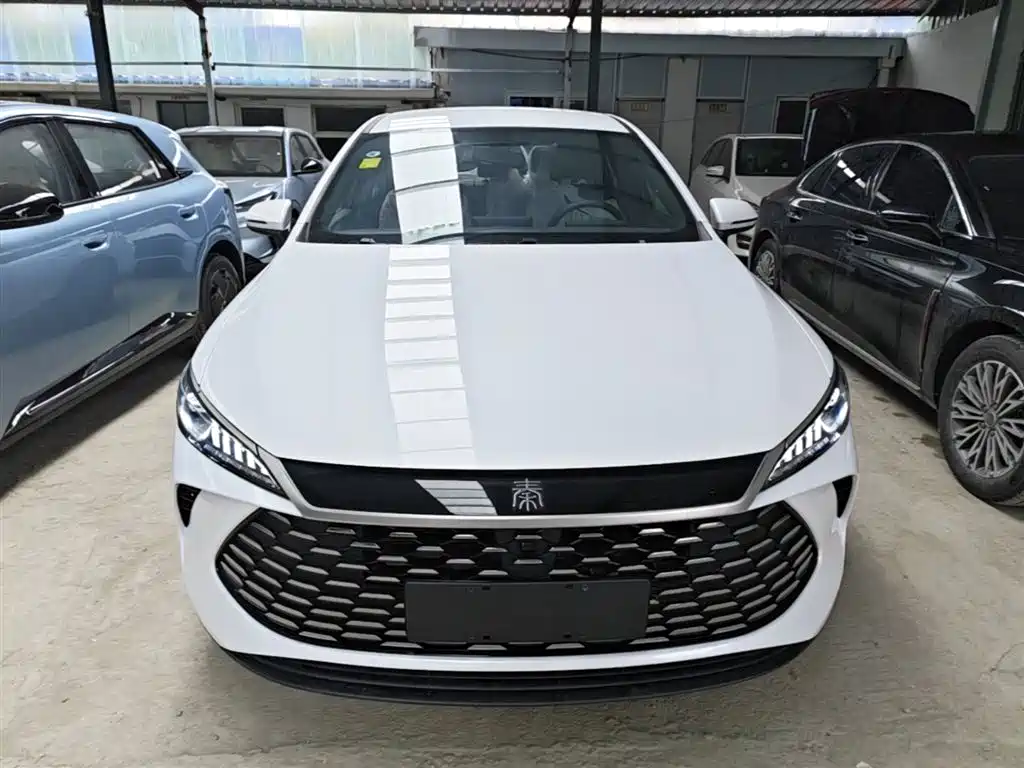 BYD Qin PLUS 2026 DM-i Smart Edition 128KM Progressive фото 3