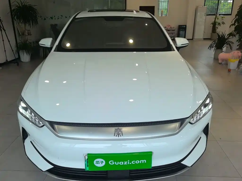 BYD Qin PLUS 2021 EV 400KM Luxury Model фото 3