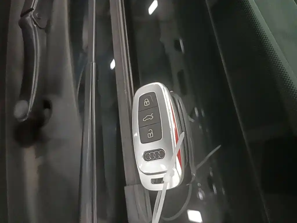 Audi Q5 e-tron 2022 40 e-tron Starlight Edition Brocade Package фото 9