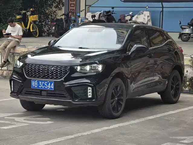 WEY VV5 2020 1.5T 2WD Smart Pioneer