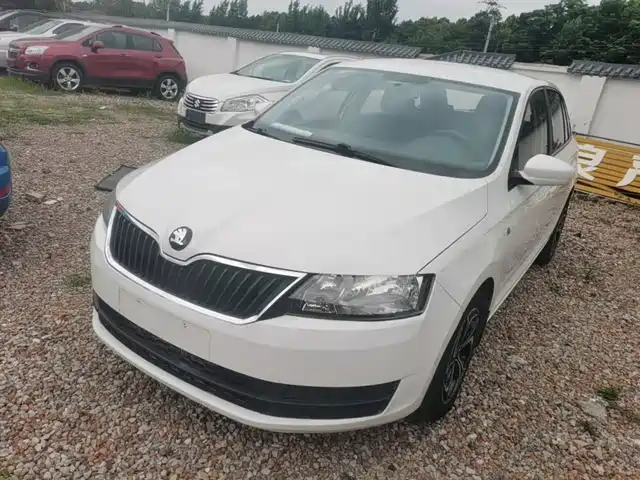 Škoda Skoda Rapid Spaceback 2014 1.4TSI DSG乐享版