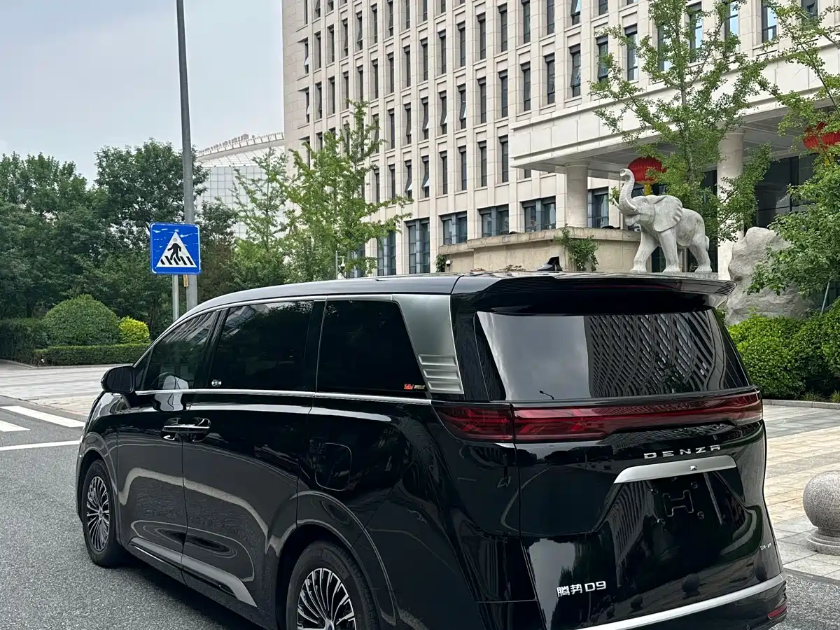 Denza D9 2022 DM-i 970 All-Wheel Drive Honor Edition фото 5