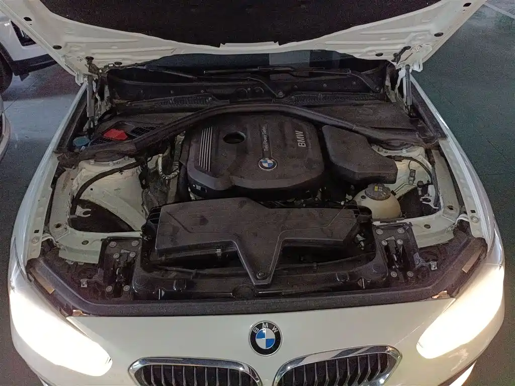 BMW 1 Series (Import) 2018 118i Leading фото 16