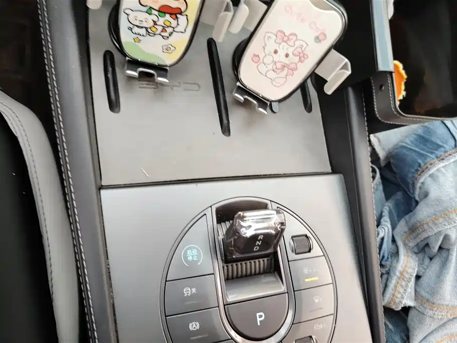 BYD Seal 06 New Energy 2024 DM-i 80KM Luxury фото 16