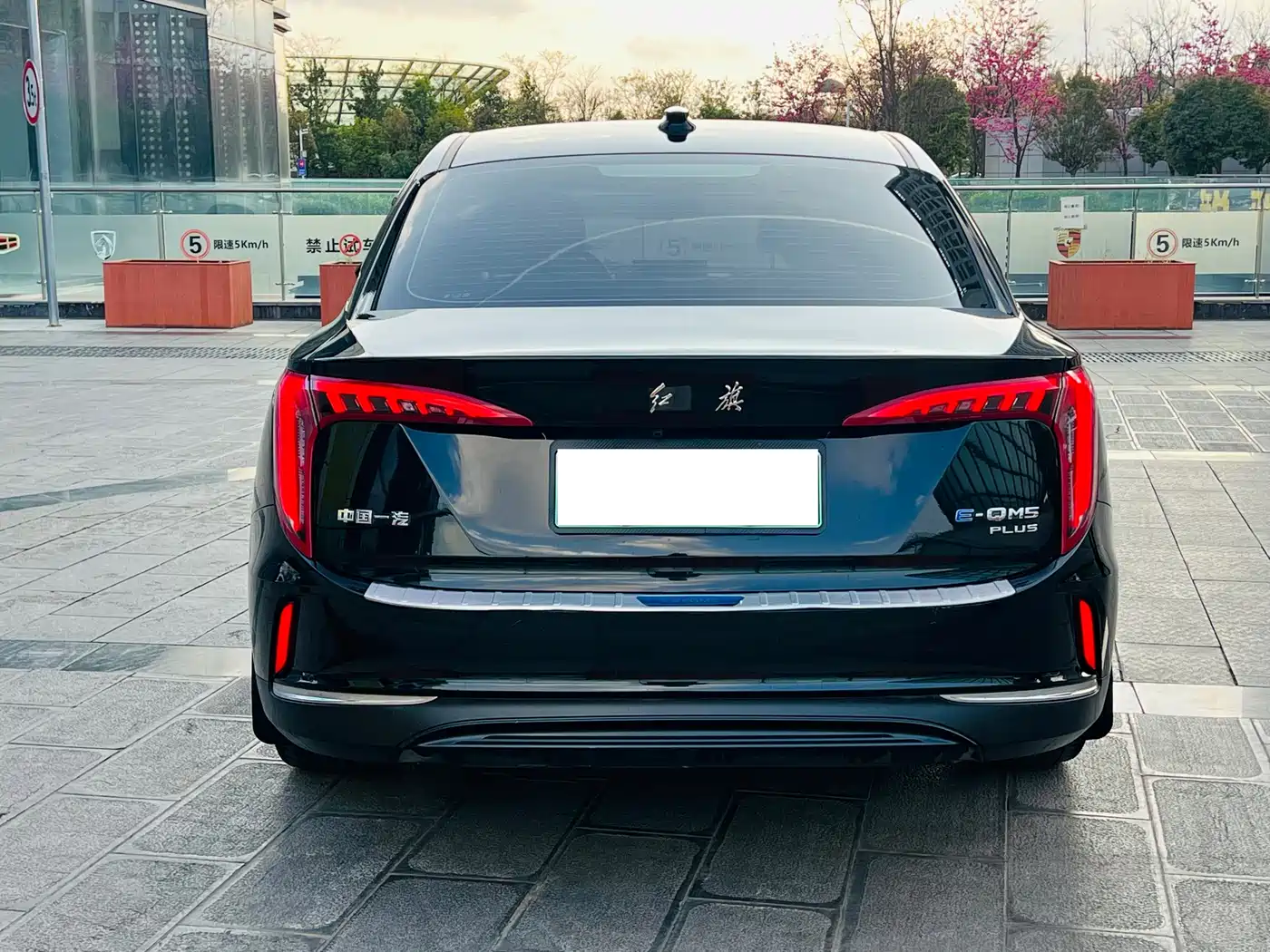 Hongqi HONGQI E QM5