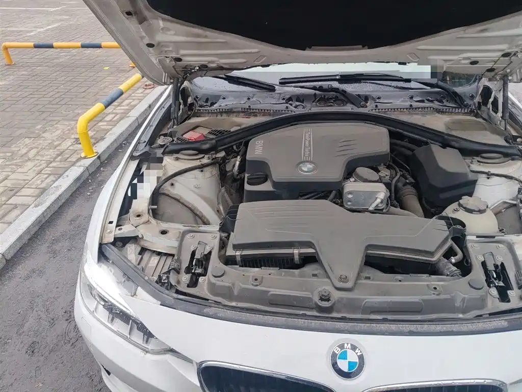 BMW 3 Series 2015 320Li Fashion фото 23