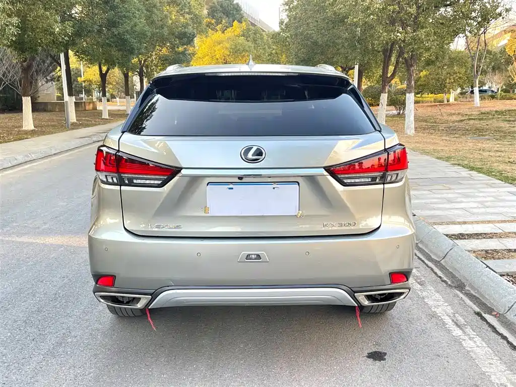 Lexus RX 2020 300 4WD Elegance Edition China VI фото 6