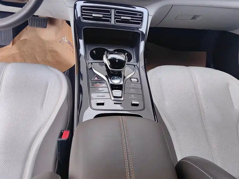 BYD Qin PLUS 2024 Glory Edition DM-i 55KM Leading фото 16