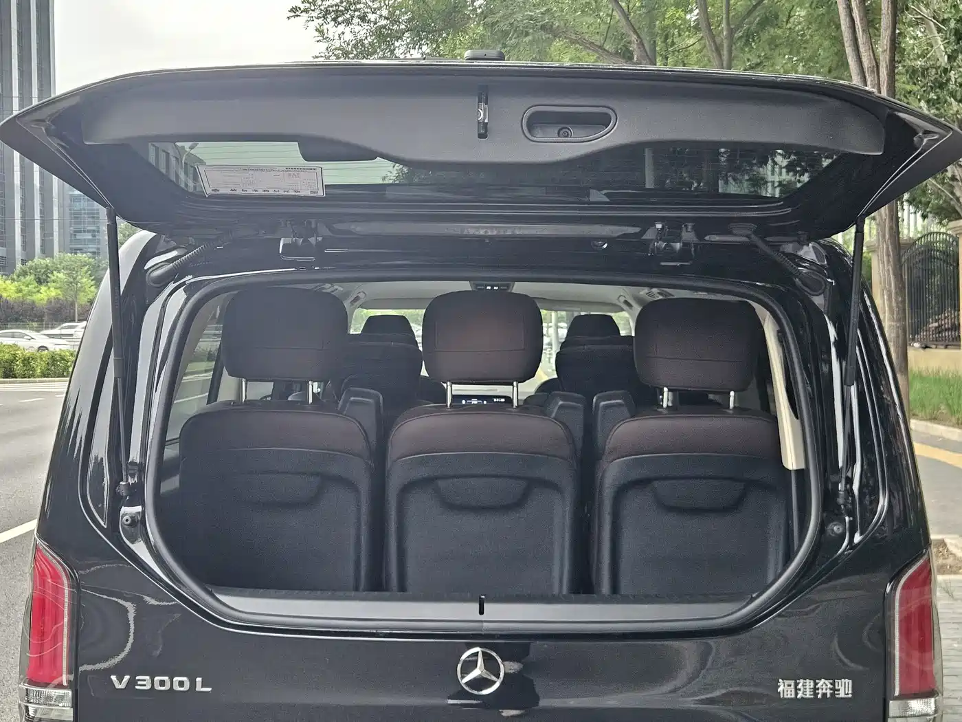 Mercedes-Benz V-Class 2025 2024 V 300 L Long Wheelbase Luxury Edition