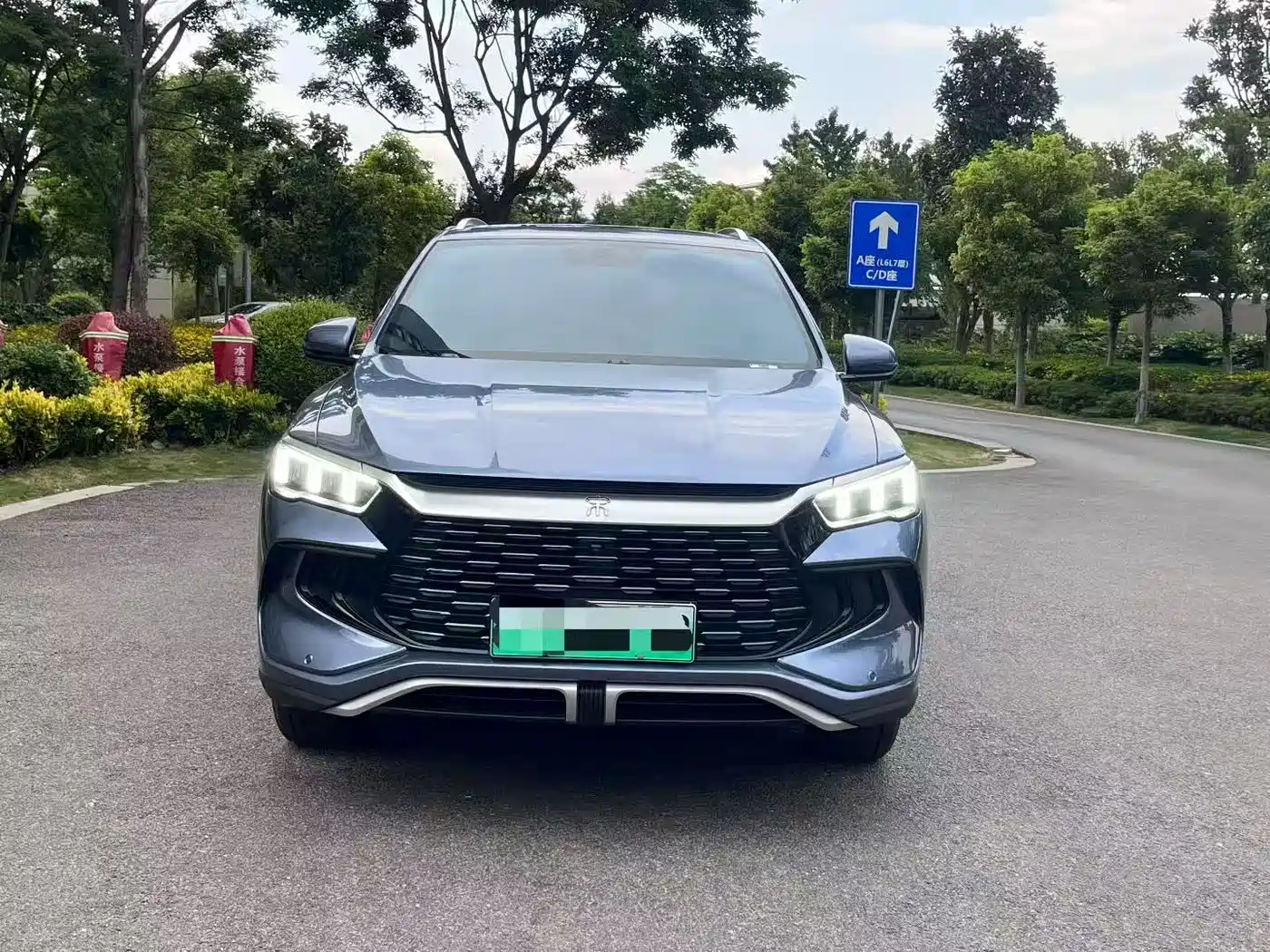 BYD Song Pro New Energy 2024 Glory Edition DM-i 71KM Pilot фото 2