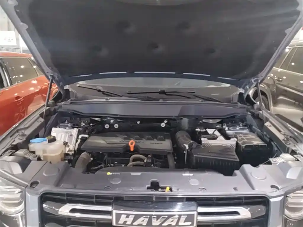 Haval Big Dog 2021 1.5T DCT 2WD Labrador Edition фото 20