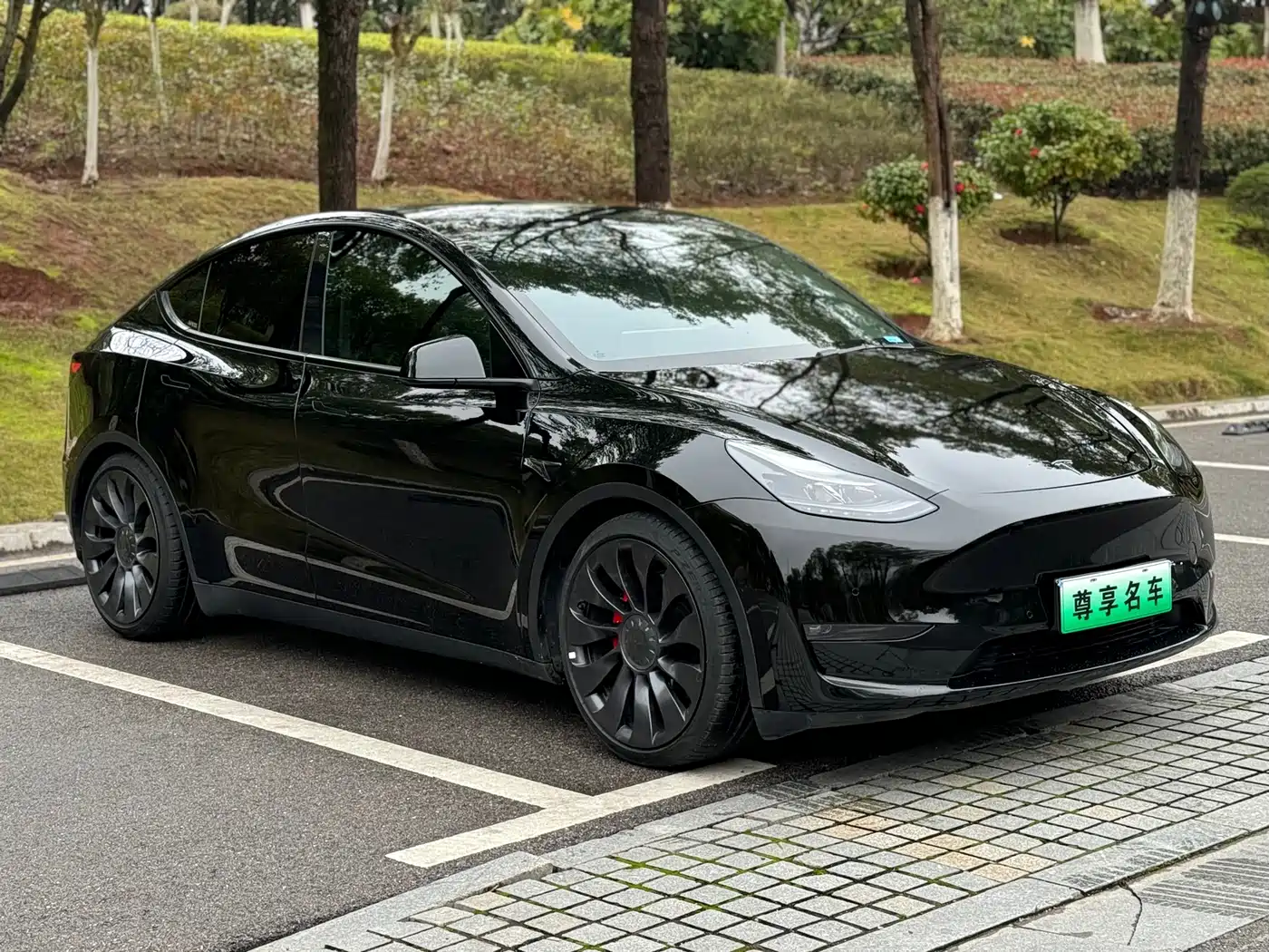 TESLA MODEL Y