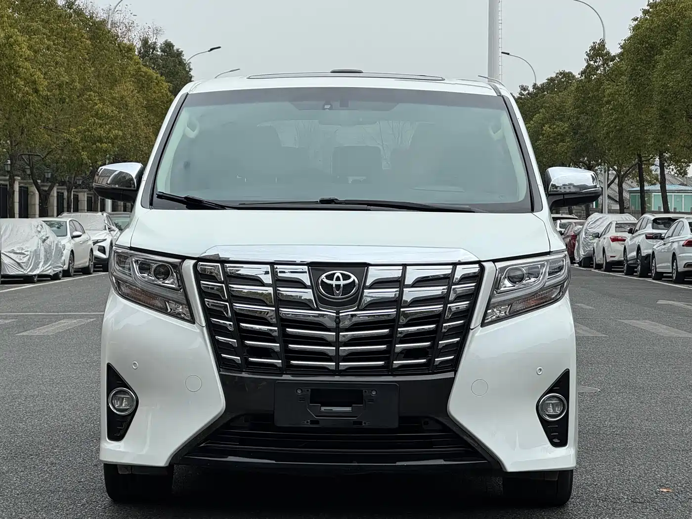 Toyota Alphard 2018 3.5L Premium фото 2