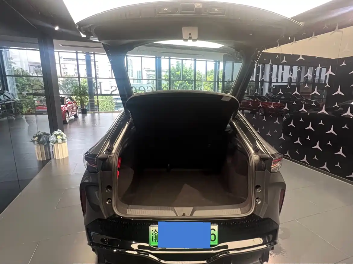 VOLKSWAGEN WITH THE CROWD 06