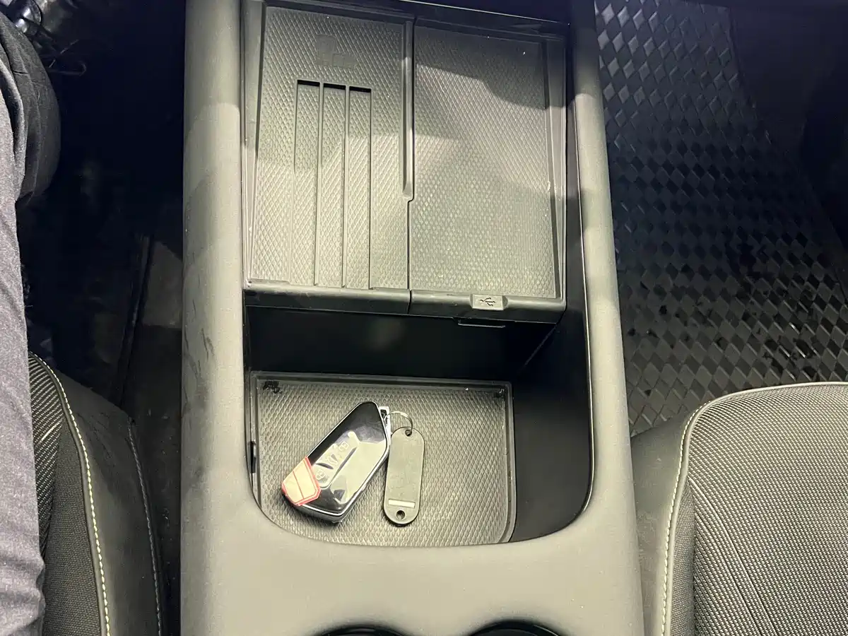 VOLKSWAGEN WITH THE CROWD 06