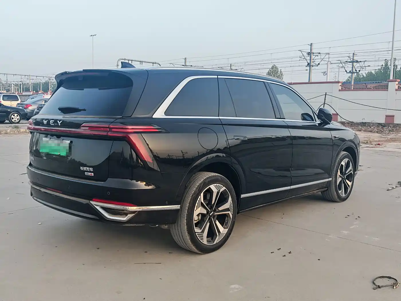 WEI PAI WEI BRAND BLUE MOUNTAIN