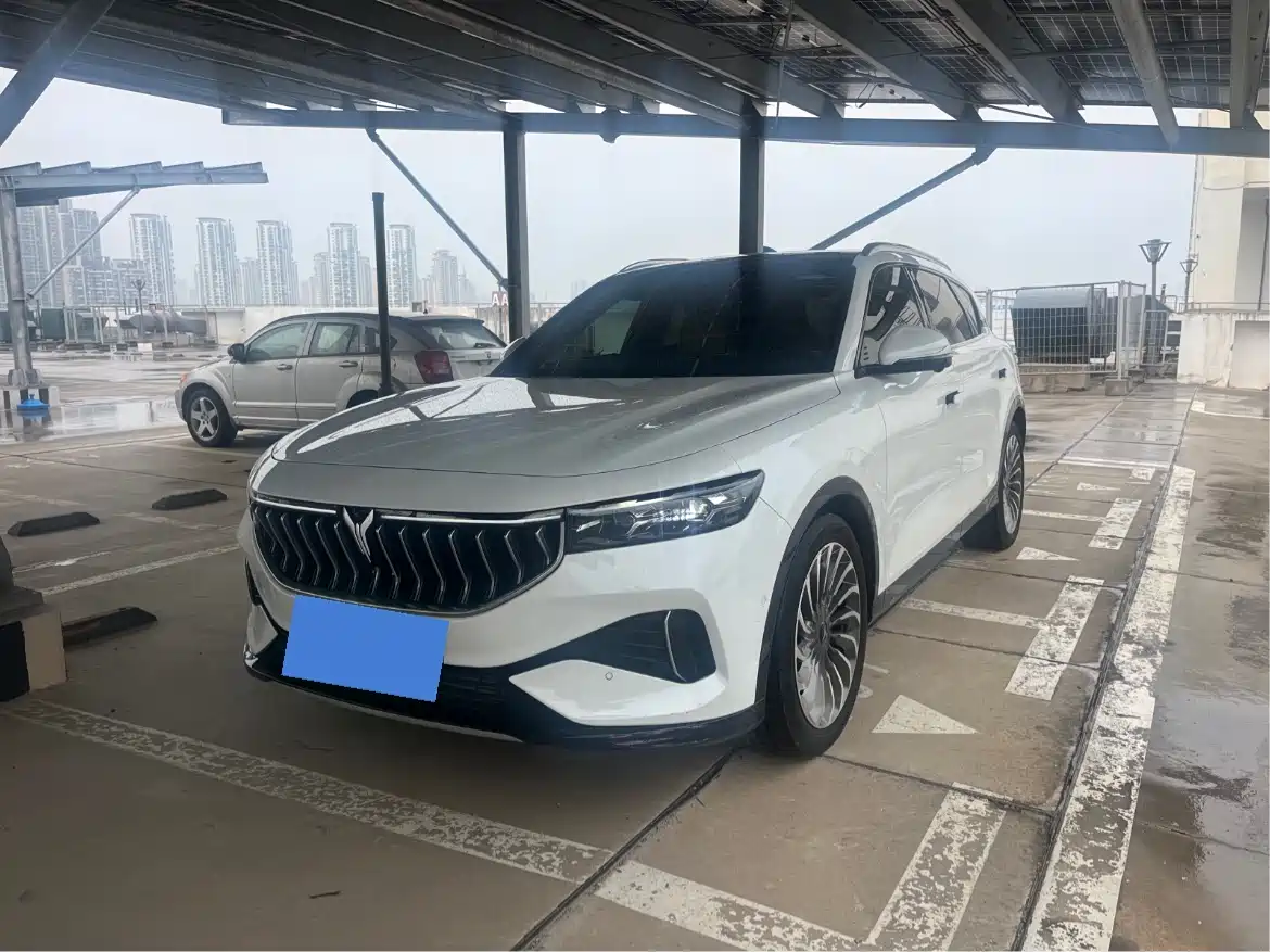 Voyah Auto VOYAH FREE 2021 AWD Standard Range Extender Exclusive Luxury Package