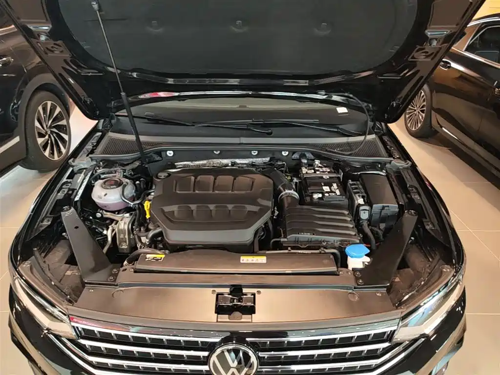 Volkswagen Magotan 2026 Model 30 Million Special Selection 380TSI DSG Luxury фото 20