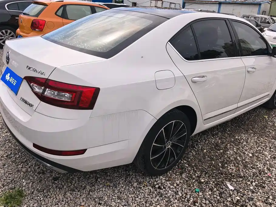 Škoda Octavia 2018 TSI280 DSG Luxury Edition фото 3