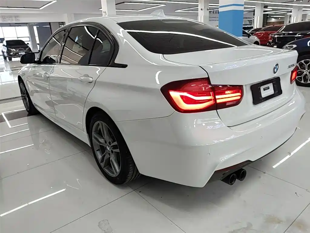 BMW 3 Series 2019 320Li M Sport Black Night Edition фото 5