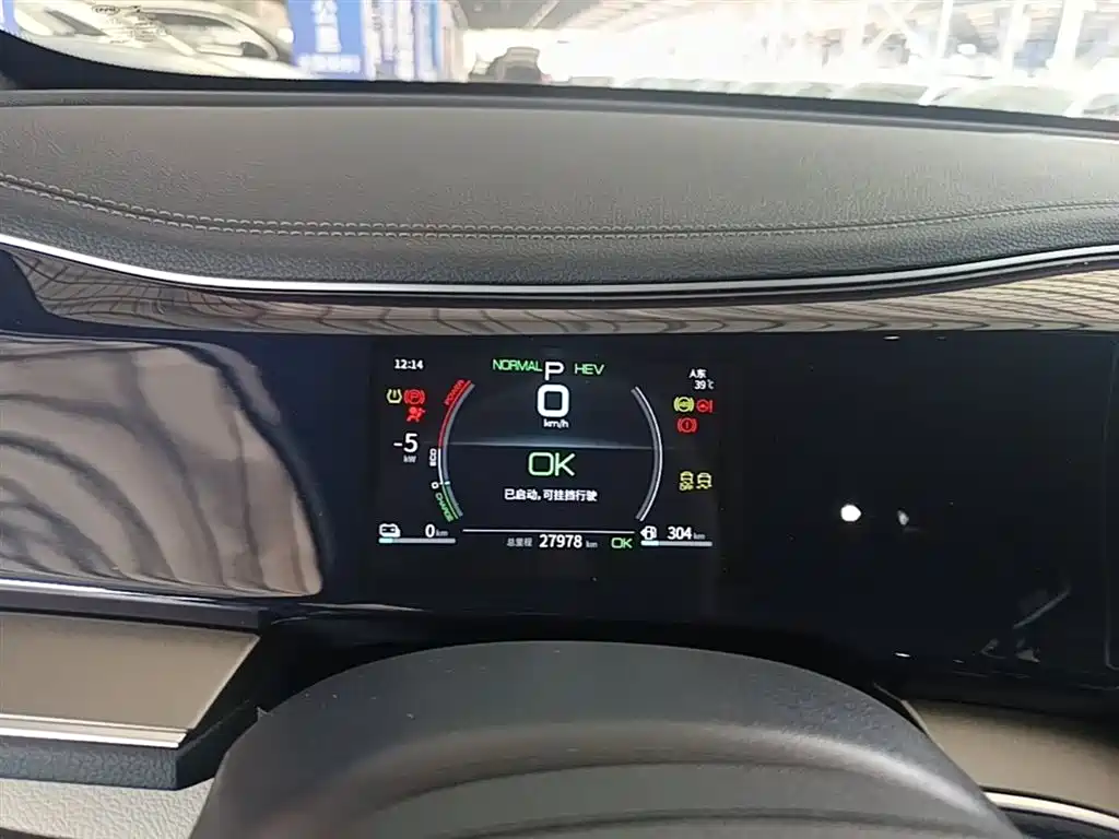 BYD Qin PLUS 2021 DM-i 55KM Premium фото 12