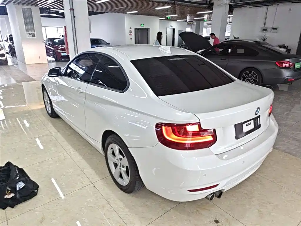 BMW 2 Series (Import) 2017 220i Leading фото 5
