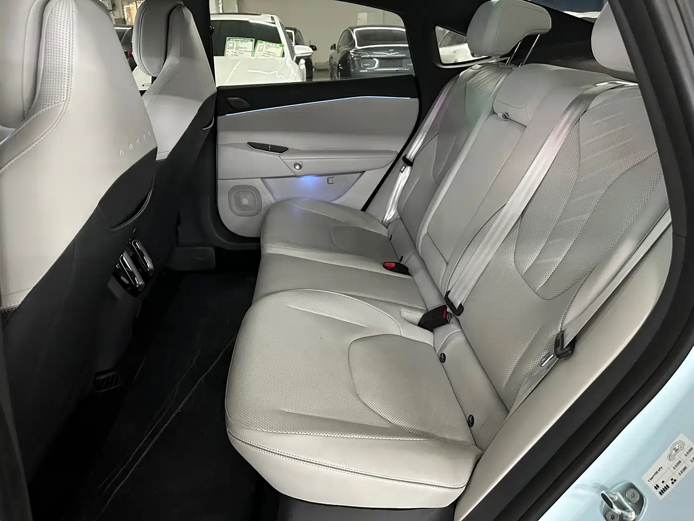 ARCFOX EXTREME FOX POLAR FOX ALPHA S5