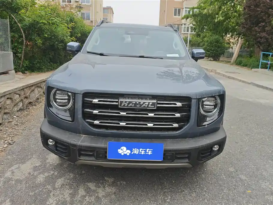 Haval Big Dog 2021 1.5T DCT 2WD Border Collie - Wangcai Edition фото 2