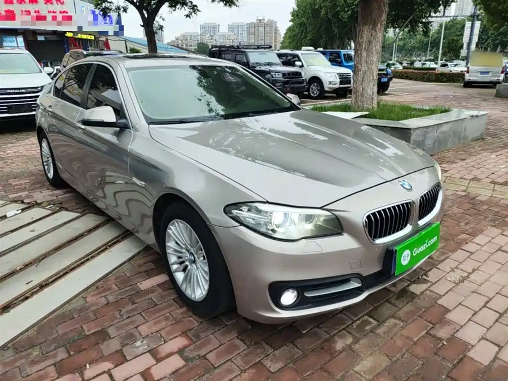 BMW 5 Series 2014 525Li Leading фото 4